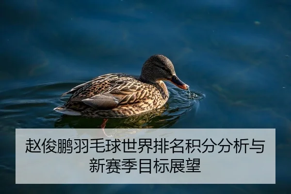 赵俊鹏羽毛球世界排名积分分析与新赛季目标展望